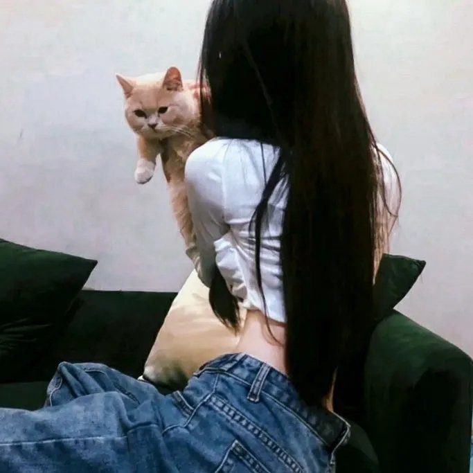 网球王子